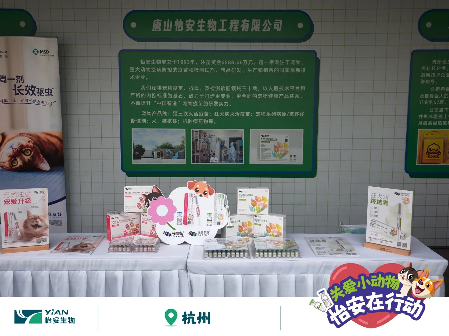 怡安攜狂犬疫苗助力犬風鈴行動，走進浙江_5_怡安生工_來自小紅書網頁版